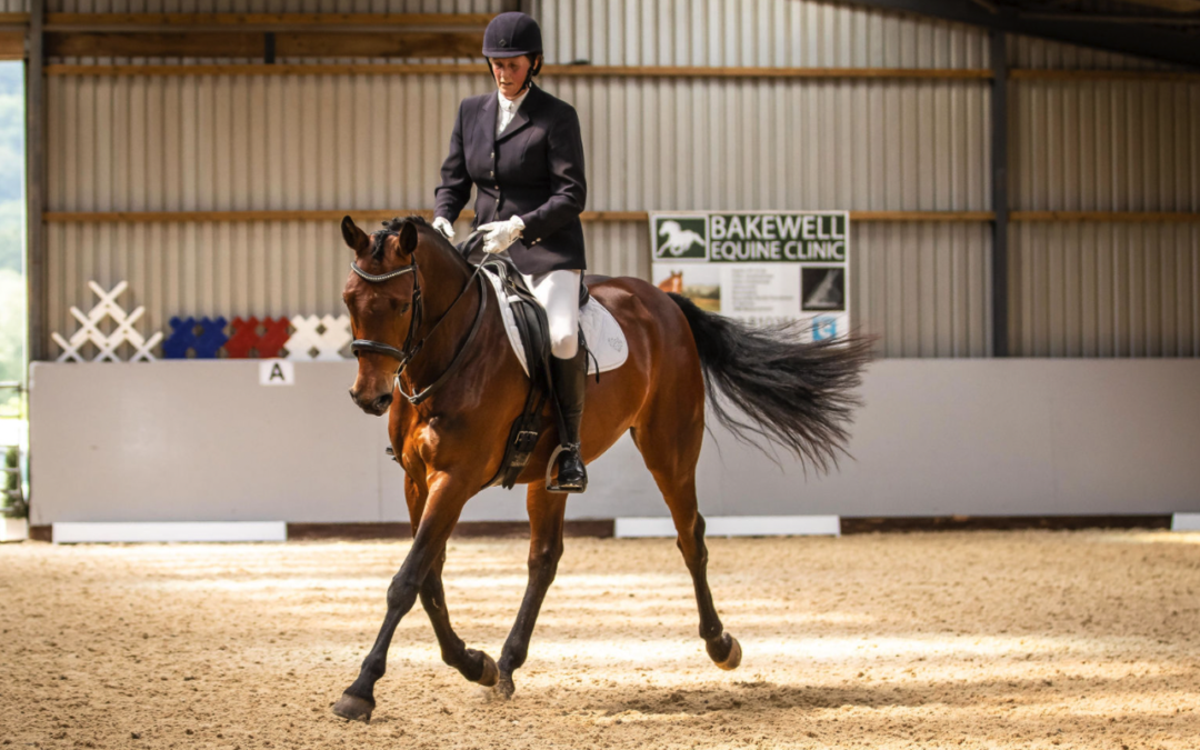 Winter League / Unaffiliated Dressage
